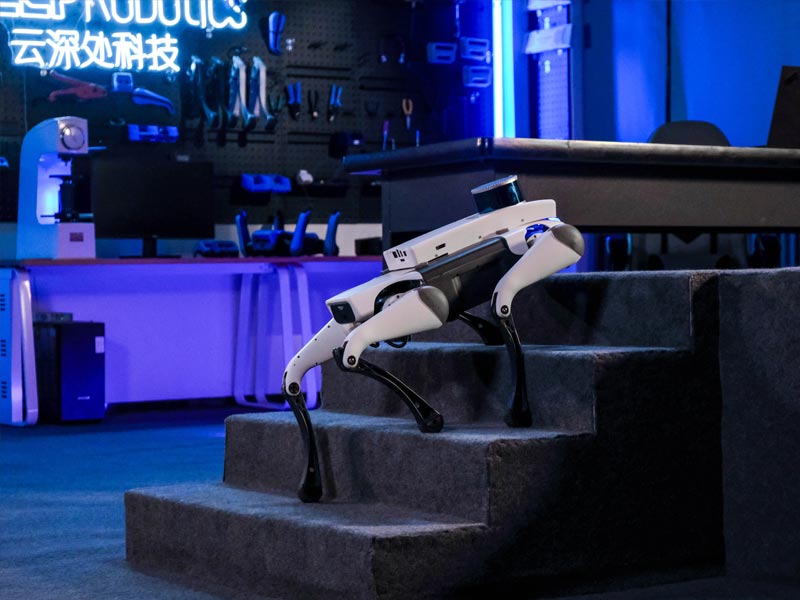 Robot M20