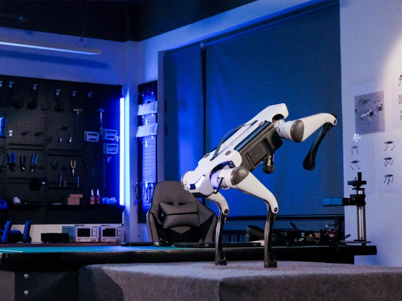 Robot M20