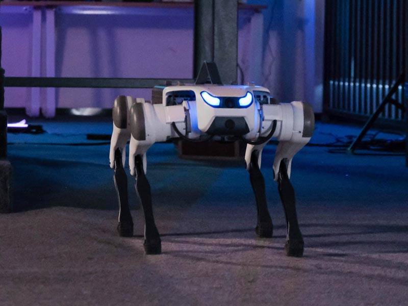 Robot M20
