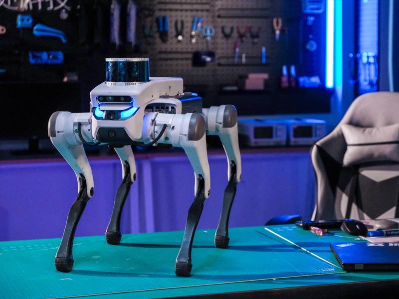 Robot M20