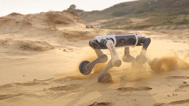 Robot M20