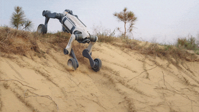 Robot M20