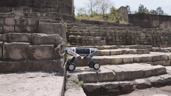 Robot M20